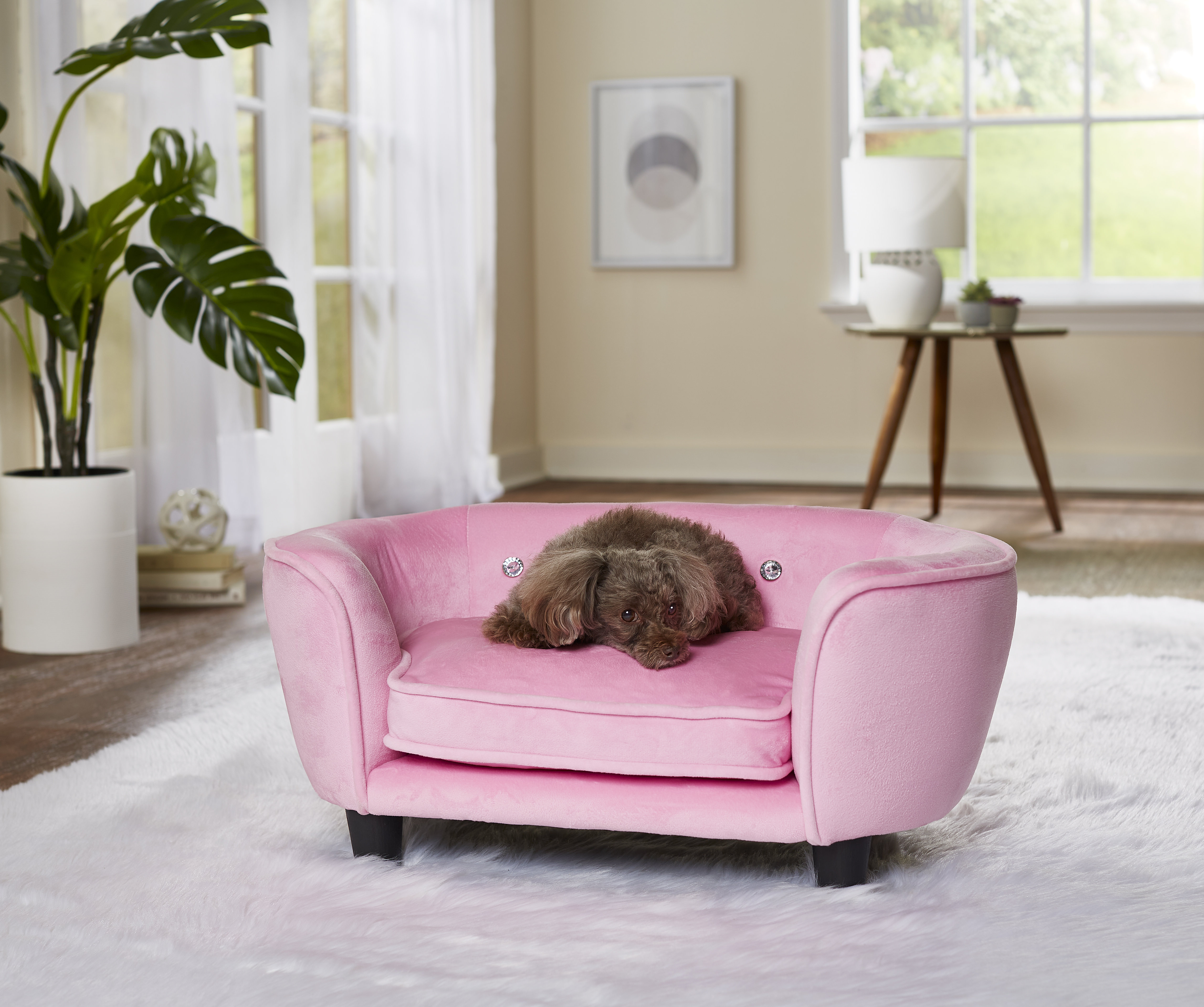 Tucker Murphy Pet Gillard Dog Sofa Reviews Wayfair Canada